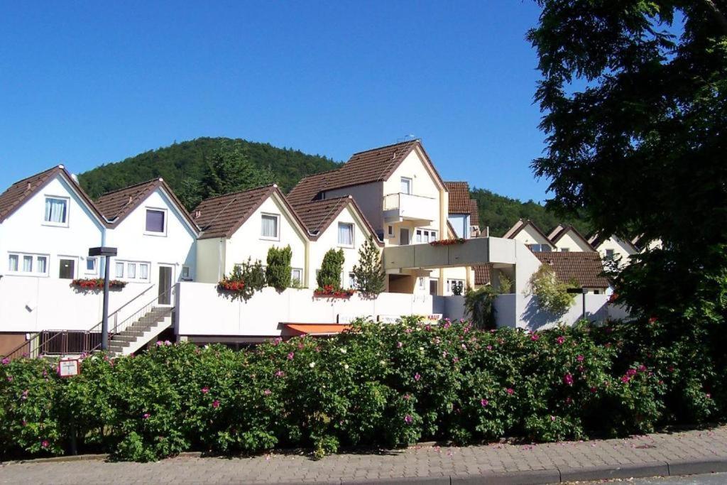 Seeblick Geniessen In Schoener Fewo Am Edersee Scheid  Exteriör bild